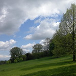 Nokia-N8-050301.jpg